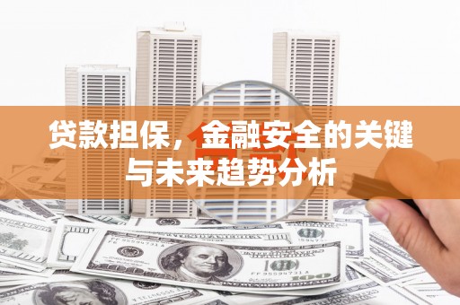 广水贷款担保，金融安全的关键与未来趋势分析