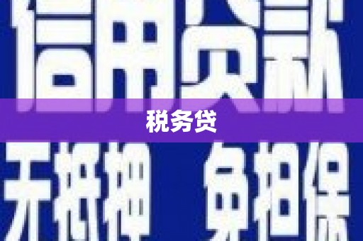 广水税务贷