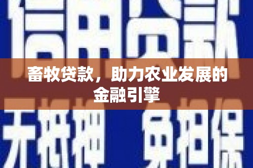 广水畜牧贷款，助力农业发展的金融引擎