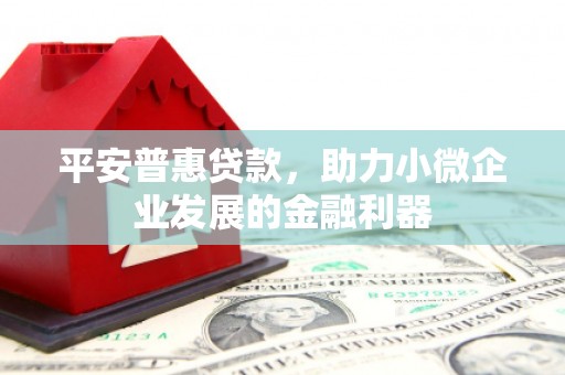 广水平安普惠贷款，助力小微企业发展的金融利器