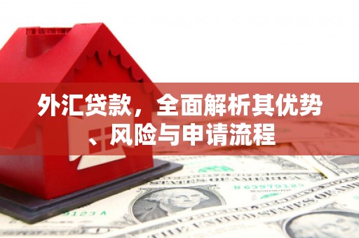 广水外汇贷款，全面解析其优势、风险与申请流程