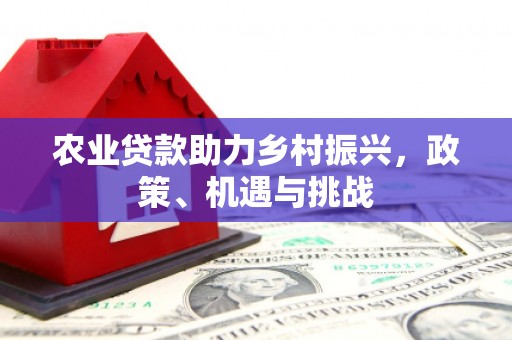 广水农业贷款助力乡村振兴，政策、机遇与挑战