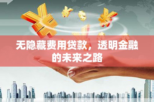 广水无隐藏费用贷款，透明金融的未来之路