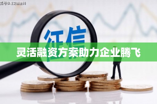 广水灵活融资方案助力企业腾飞