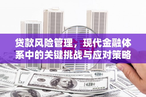 广水贷款风险管理，现代金融体系中的关键挑战与应对策略