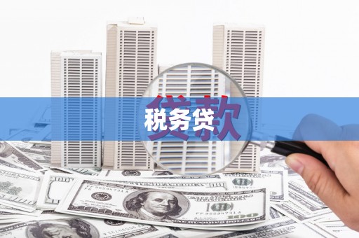 广水税务贷