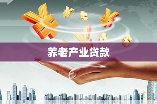 广水养老产业贷款