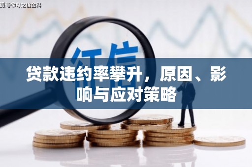 广水贷款违约率攀升，原因、影响与应对策略