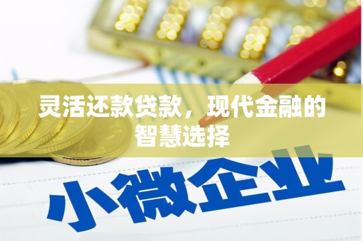 广水灵活还款贷款，现代金融的智慧选择