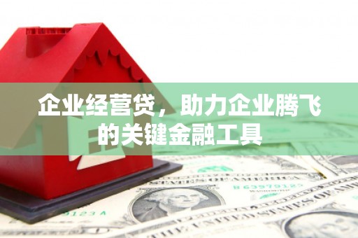 广水企业经营贷，助力企业腾飞的关键金融工具