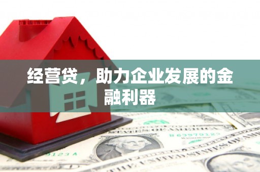 广水经营贷，助力企业发展的金融利器