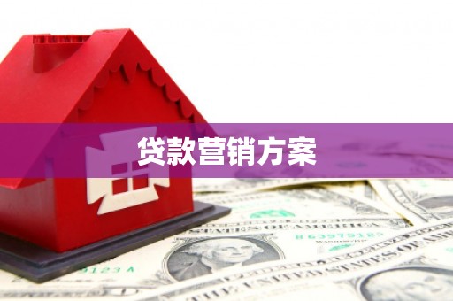 广水贷款营销方案