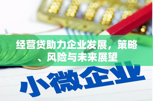 广水经营贷助力企业发展，策略、风险与未来展望