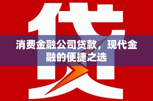 广水消费金融公司贷款，现代金融的便捷之选