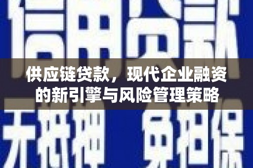 广水供应链贷款，现代企业融资的新引擎与风险管理策略
