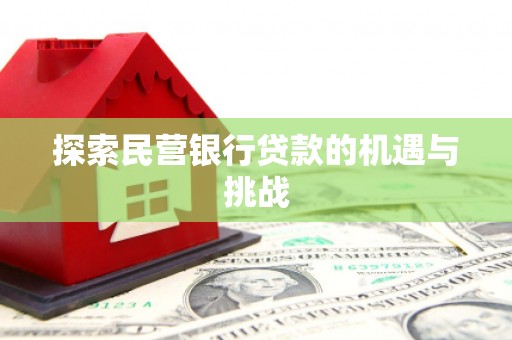 广水探索民营银行贷款的机遇与挑战