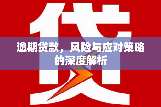 广水逾期贷款，风险与应对策略的深度解析