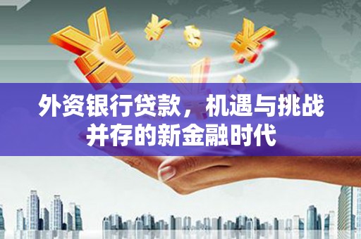 广水外资银行贷款，机遇与挑战并存的新金融时代