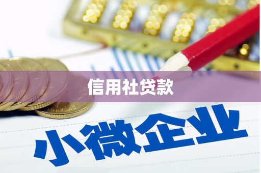 广水信用社贷款