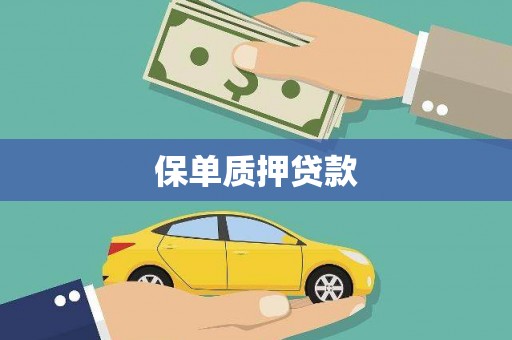 广水保单质押贷款