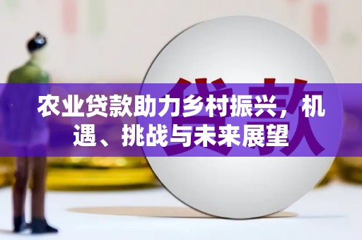 广水农业贷款助力乡村振兴，机遇、挑战与未来展望