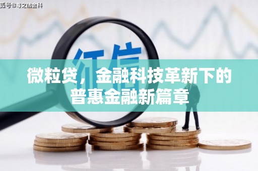广水微粒贷，金融科技革新下的普惠金融新篇章