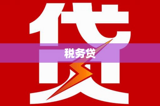 广水税务贷