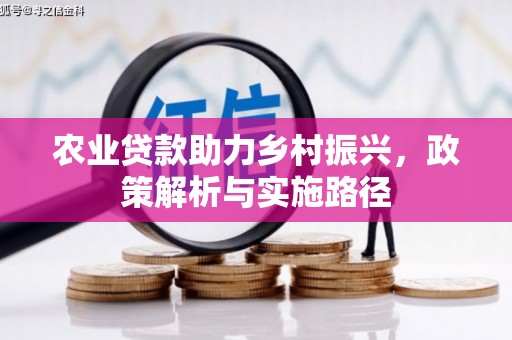 广水农业贷款助力乡村振兴，政策解析与实施路径