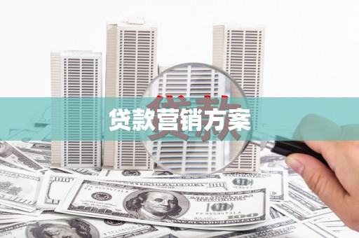 广水贷款营销方案