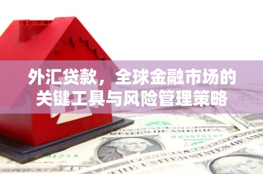 广水外汇贷款，全球金融市场的关键工具与风险管理策略