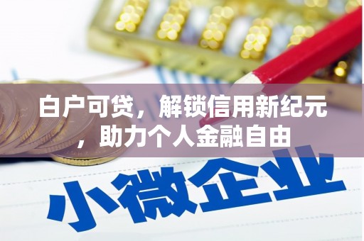 广水白户可贷，解锁信用新纪元，助力个人金融自由
