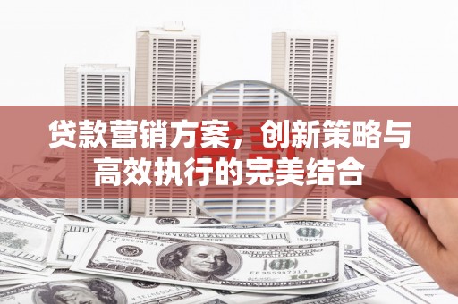 广水贷款营销方案，创新策略与高效执行的完美结合
