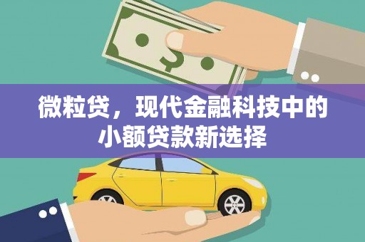 广水微粒贷，现代金融科技中的小额贷款新选择