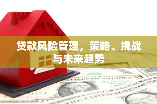 广水贷款风险管理，策略、挑战与未来趋势