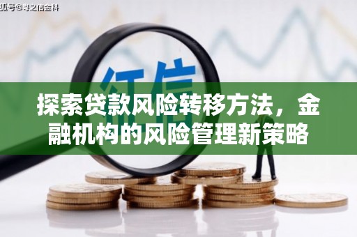 广水探索贷款风险转移方法，金融机构的风险管理新策略