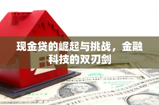 广水现金贷的崛起与挑战，金融科技的双刃剑