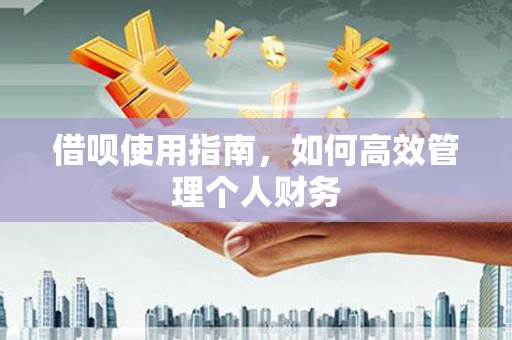 广水借呗使用指南，如何高效管理个人财务