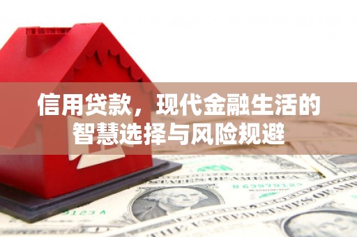 广水信用贷款，现代金融生活的智慧选择与风险规避
