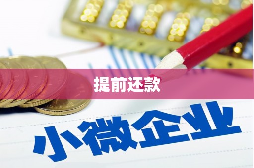 广水提前还款