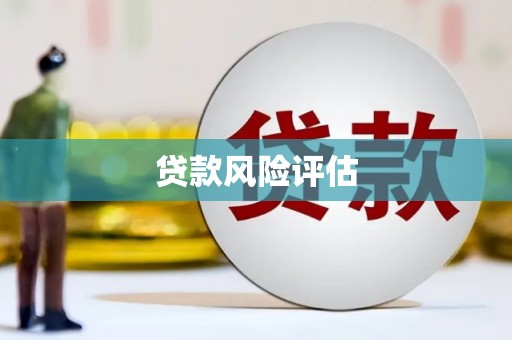 广水贷款风险评估