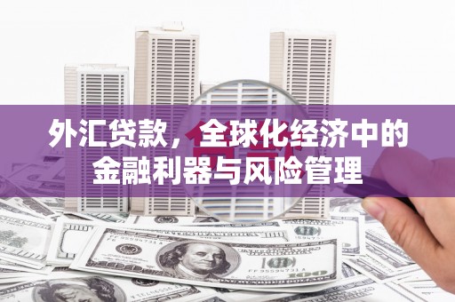 广水外汇贷款，全球化经济中的金融利器与风险管理