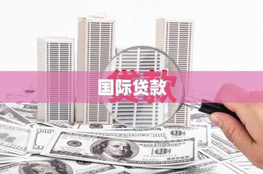 广水国际贷款