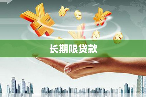 广水长期限贷款