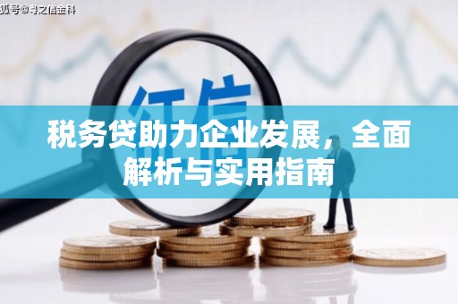 广水税务贷助力企业发展，全面解析与实用指南