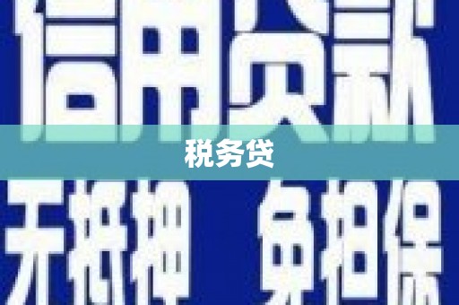 广水税务贷