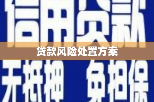 广水贷款风险处置方案