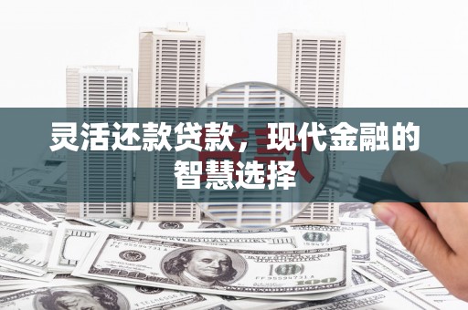 广水灵活还款贷款，现代金融的智慧选择