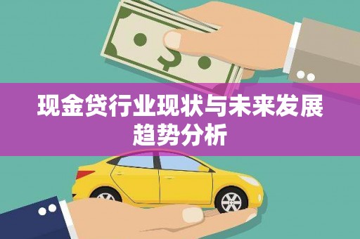 广水现金贷行业现状与未来发展趋势分析