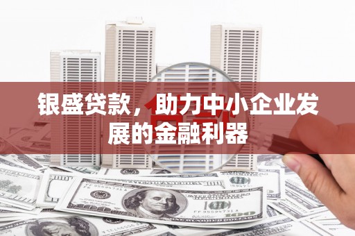 广水银盛贷款，助力中小企业发展的金融利器