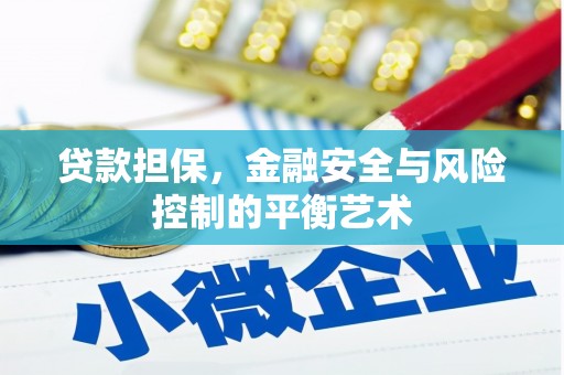 广水贷款担保，金融安全与风险控制的平衡艺术